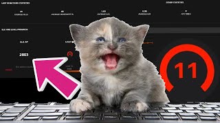 3K FACEIT ELO EXPERIENCE