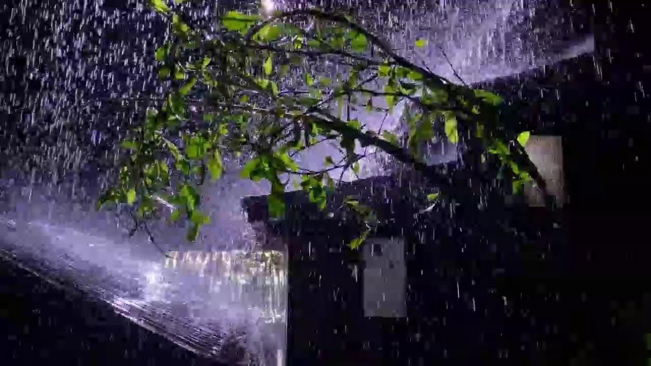 Deep Sleep Rain Sounds – Heavy Rain on Tin Roof for Instant Sleep (No Ads)