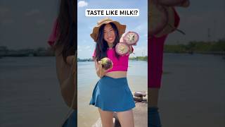 This May Be the BEST Vegan Milk (Star Apple)!