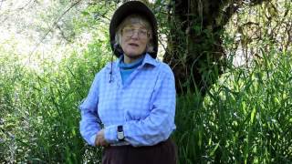 TwinBrooks Farm "Why are you part of WWOOF?" and "What makes a good WWOOF'er?"