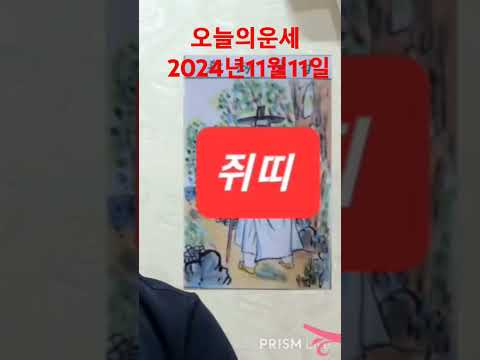 쥐띠 오늘의운세 2024년11월11일 월요일 띠별운세 #운세 #오늘의운세 #띠별운세