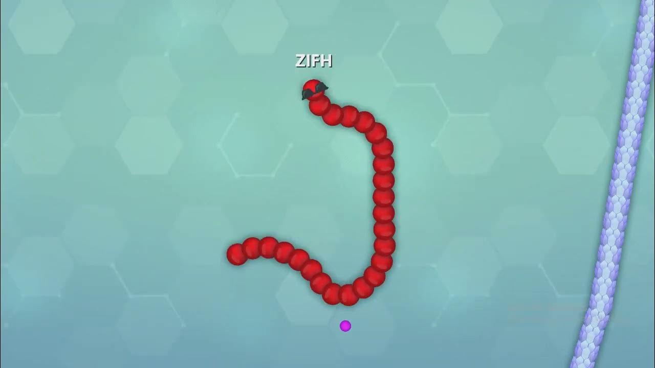 THIS IS LARGE SNAKE HUNT SNAKE MANY SNAKE FIGHT TOGETHER FOR HUNT