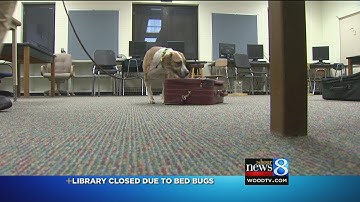 Bed bugs found in Kzoo library books