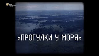 Видеофильм «Прогулки у моря»