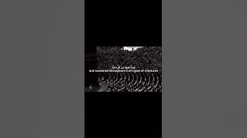 الشيخ ياسر الدوسري عندما يخطئ ويصحح بأجمل تلاوة 😭💗 سورة لقمان #سورة_لقمان #ياسر_الدوسري