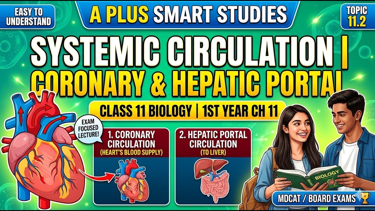Class 11 Biology Systemic Circulation | Coronary and Hepatic Portal ...