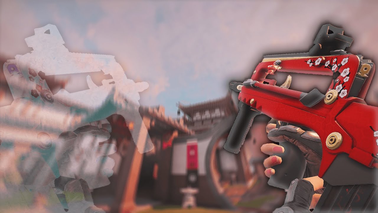Puffin On Zootiez 🚬| Rainbow Six Siege Montage