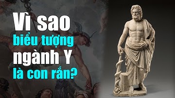 Vì sao biểu tượng ngành Y là con Rắn - Tinh Hoa TV