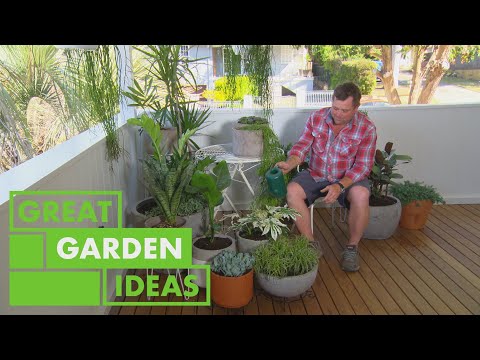 How to Grow and Care for Potted Plants | GARDEN | Great Home Ideas