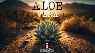 KluciZND - aloe vera (OFFICIAL)