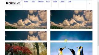 HTML CSS Practise-DrikNews part 4