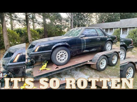 CRUSTY STANG! My