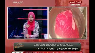 مع الشعب مع احمد المغربل| وكيفية أكتشاف لحم الحمير والفرق بينه وبين اللحم البلدي 1-5-2018