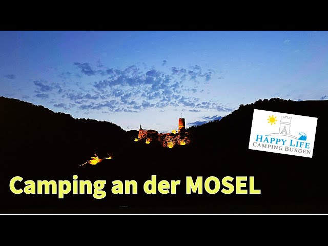 filz fr camper MonsterVan
