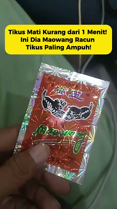 Racun Tikus Mao Wang Asli Paling Ampuh Tikus Mati Kering dan Tidak Bau