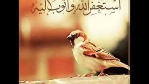 صلاة العشاء من سورة غافر