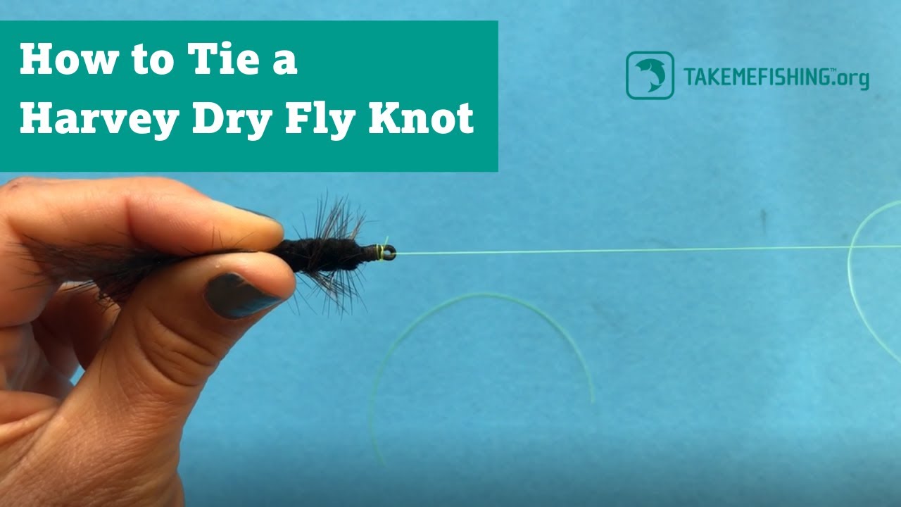 How to Tie a Harvey Dry Fly Knot Fishing Knots YouTube