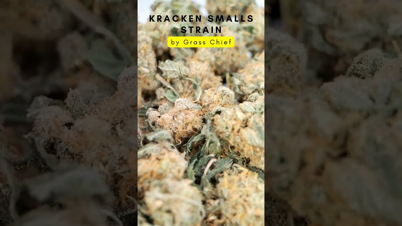 Kracken Strain in Smalls by Grass Chief
