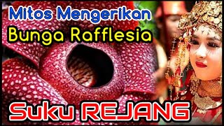 Mitos Mengerikan Bunga RAFFLESIA ARNOLDI bagi Suku REJANG