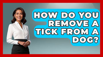 How Do You Remove A Tick From A Dog? - Exploring Campgrounds