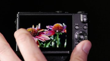 Panasonic LUMIX DMC-LX10 Post Focus Stacking