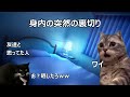 過激派オタクの日常　#猫マニ #猫ミーム