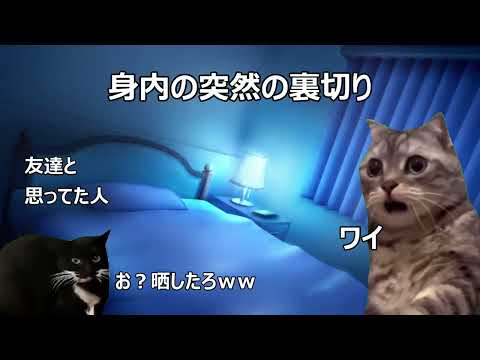 過激派オタクの日常 #猫マニ #猫ミーム