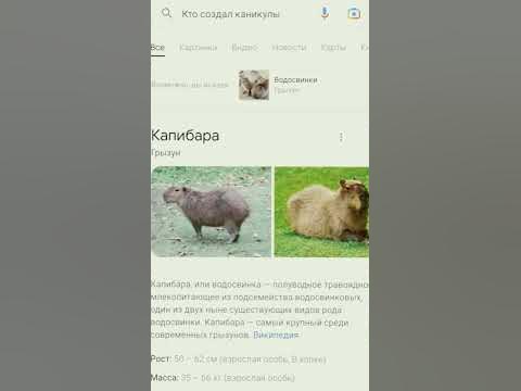 кто создал каникулы - YouTube