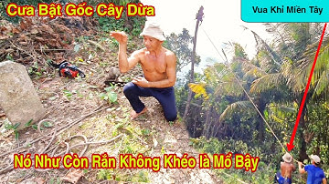 Vua Khỉ Cưa Cây Dừa Nói Nó Như Con Rắn Không Khéo Là Ngã Bậy Liền #123