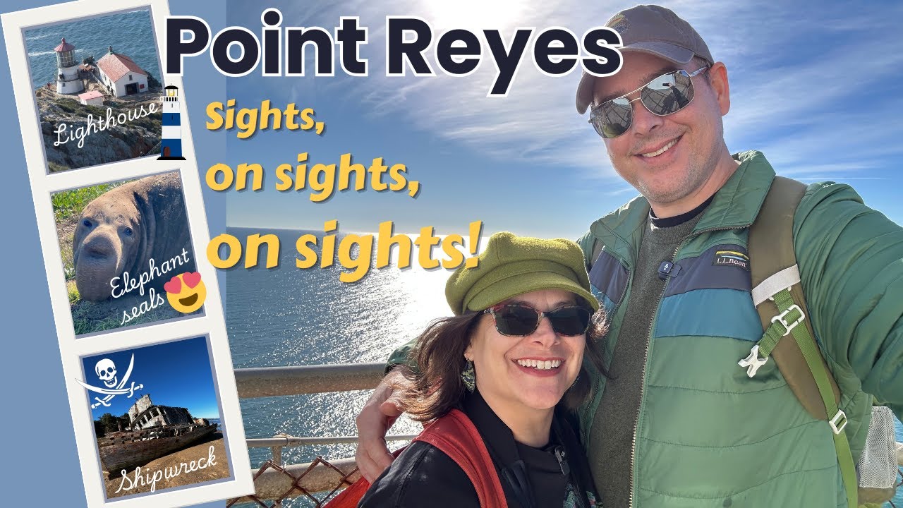 POINT REYES Elephant Seals Sights on Sights on Sights! Lighthouse, Shipwreck, Cypress Path & More!