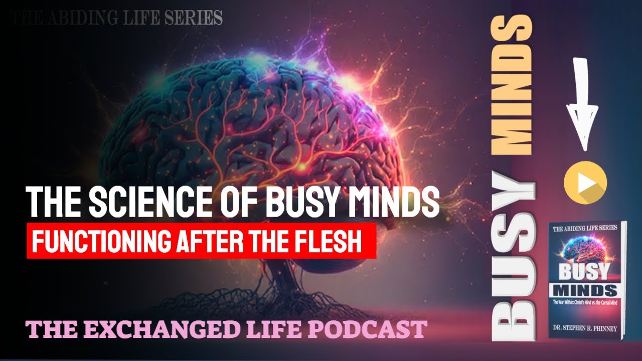 Busy Minds | Function of The Human Mind