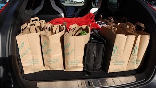 Day 1231 Tesla Ruby I the Shopping Groove Profile