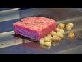 Carefully selected Miyazaki wagyu loin steak course | teppanyaki in Japan