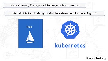 Module 5: Understanding Istio Rate Throttling and Kubernetes: Rate Throttling Based on HTTP Headers