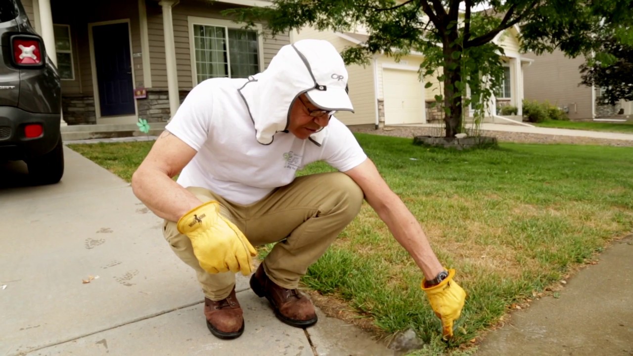 30-Sec Promo for Inspecting Lawn Irrigation Systems Inspection Course