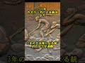 【日本軍と、インドネシアの独立】