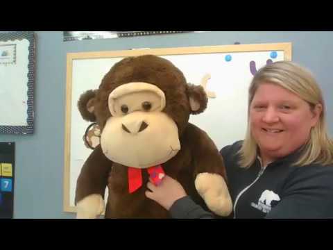 Gordo Gorilla's Banana Party - Zoo-phonics