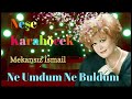 Neşe Karaböcek - Ne Umdum Ne Buldum