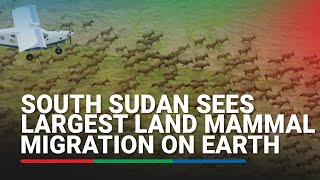 South Sudan sees largest land mammal migration on earth | ABS-CBN News