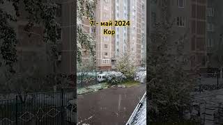 РОССИЯ 7 - май 2024