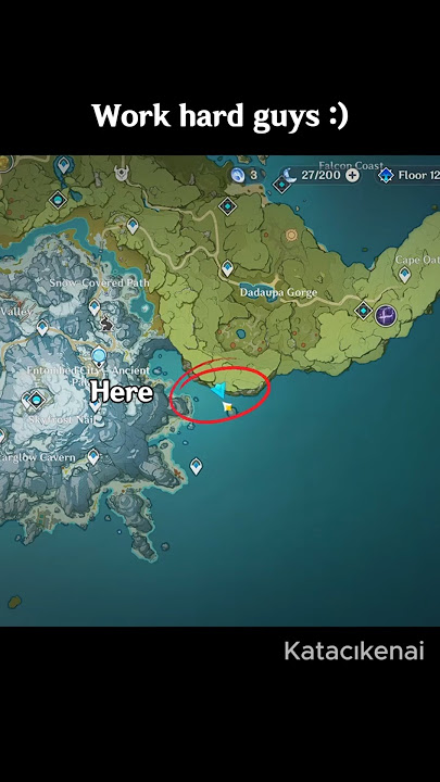 Sometimes, showing is more effective than explaining #genshinimpact #hoyocreators