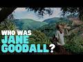 Who Was Jane Goodall Learn About This Amazing Woman And Her World Changing Discoveries Who Was Jane Goodall Learn About This Amazing Woman And Her World Changing Discoveries