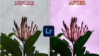 Plant editing ☘️ / before vs After / Through Lr app..! screenshot 5
