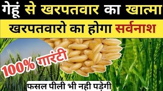 गेहूं में खरपतवार नियंत्रण/गेहूं से खरपतवारो का सफाया/Best Herbicide for Wheat/Herbicide/Wheat