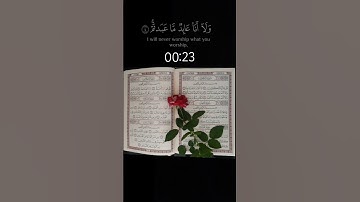 سورة_الكافرون_القارئ_ياسر الدوسري
