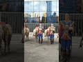 Mongolian Honor Guard #mongolia #guard