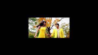 puneeth Rajkumar #erika ferenders#ninnindale
