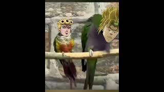 Celebrity DIO Good Dad Wealth