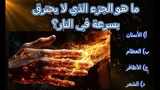 أسئلة حارس مرمى | العالم | طائر | حرق | حيوان | أحذية | المحيط | بارك gk gkquiz gkquestion