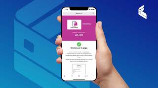 Nuevos Pagos Qr En Qpaypro